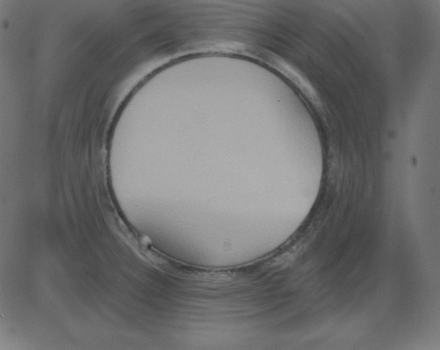 X0000081301332200702012259