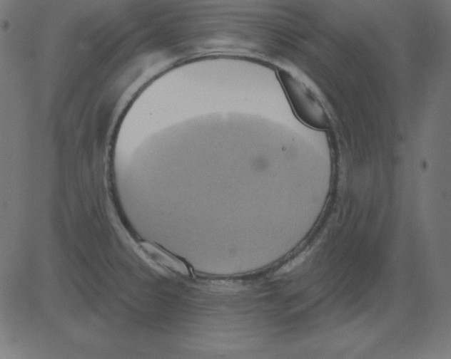 X0000081301333200702012259