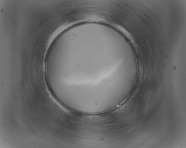 X0000081301335200702012259