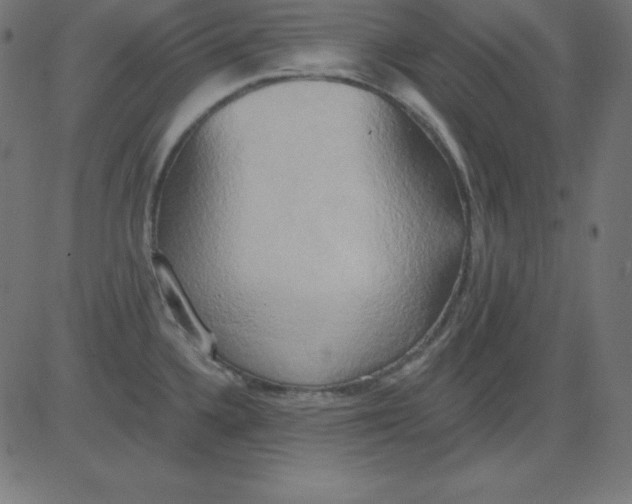 X0000081301336200702012300