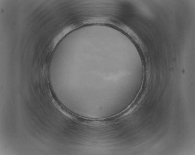 X0000081301337200702012300