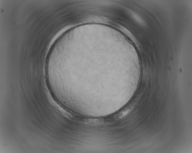 X0000081301339200702012300