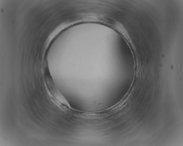 X0000081301342200702012300