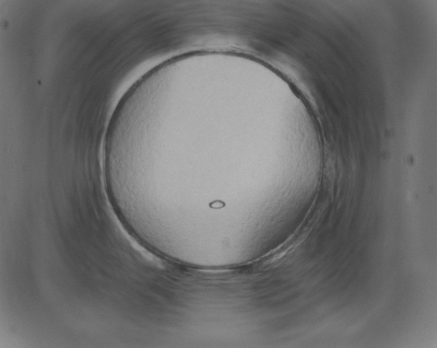 X0000081301343200702012300