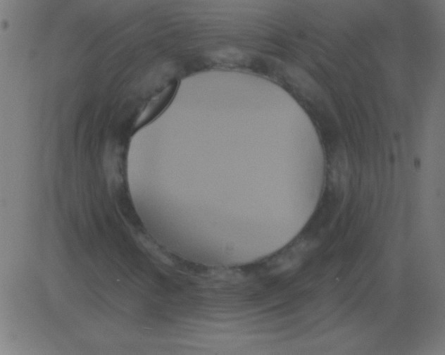 X0000081301346200702012259