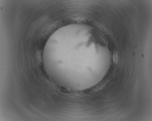 X0000081301347200702012259