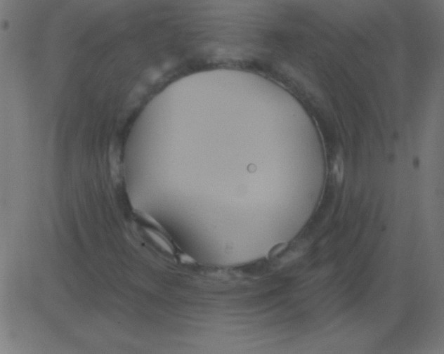 X0000081301348200702012259