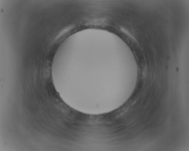 X0000081301350200702012259