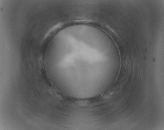 X0000081301351200702012259