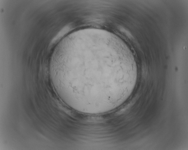 X0000081301354200702012259