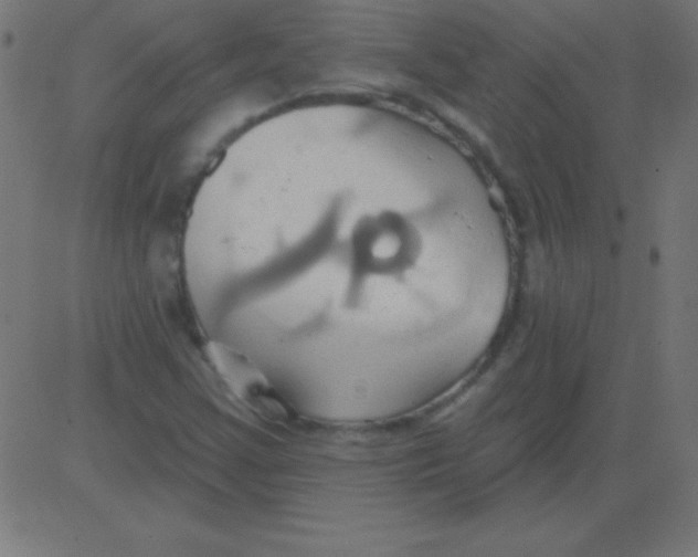 X0000081301355200702012259