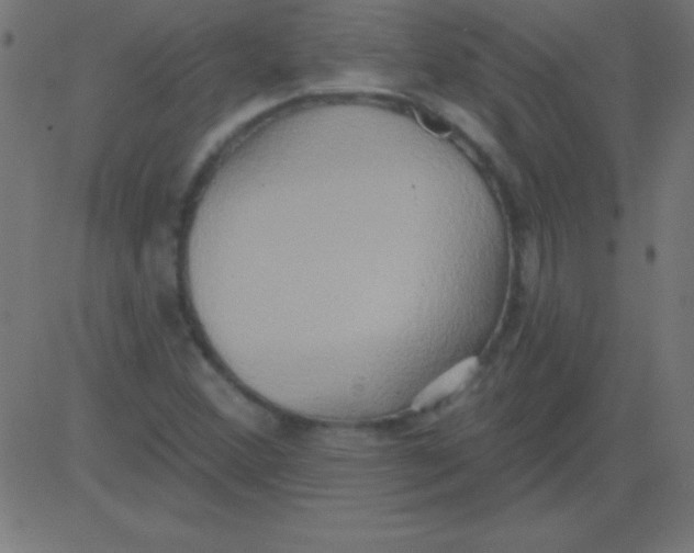 X0000081301356200702012259