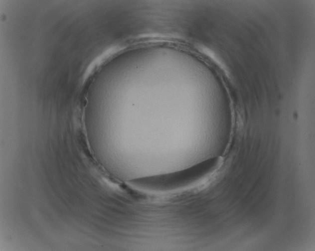 X0000081301357200702012259