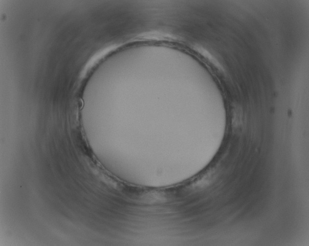 X0000081301358200702012259