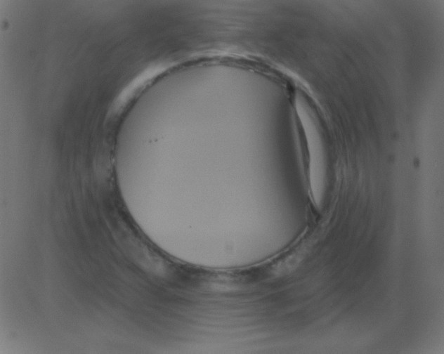 X0000081301359200702012259