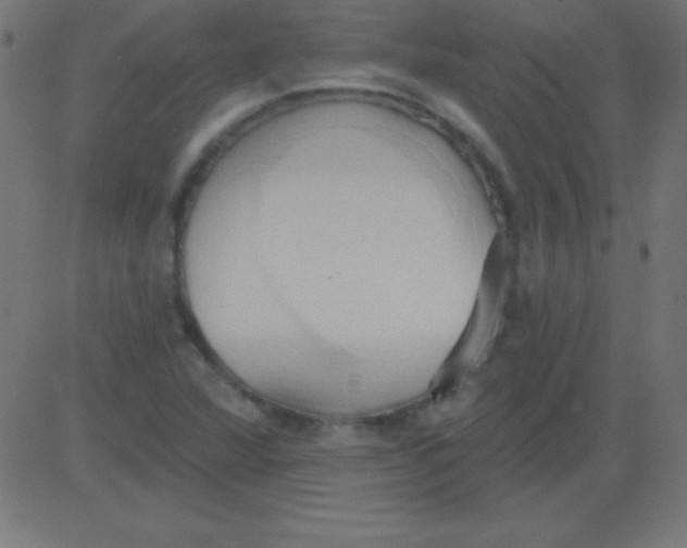 X0000081301360200702012259