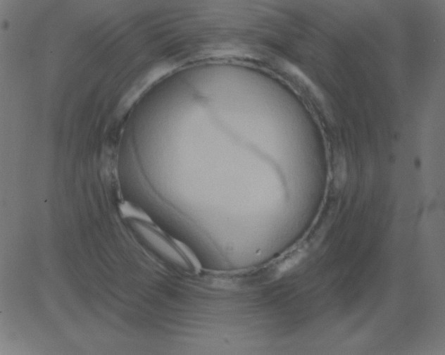 X0000081301361200702012259