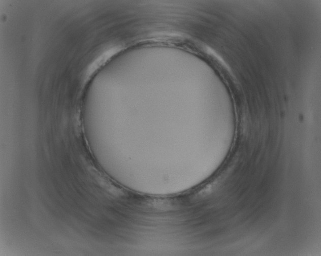 X0000081301362200702012259