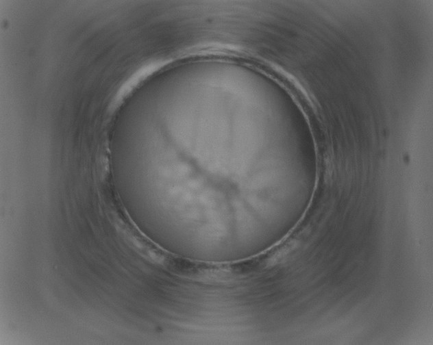 X0000081301363200702012259