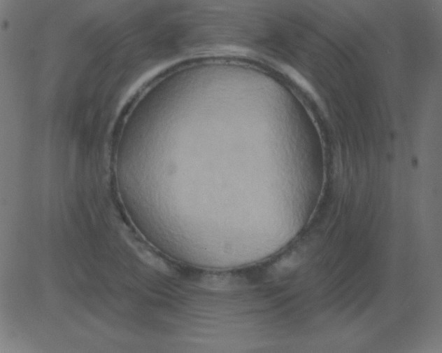 X0000081301364200702012259