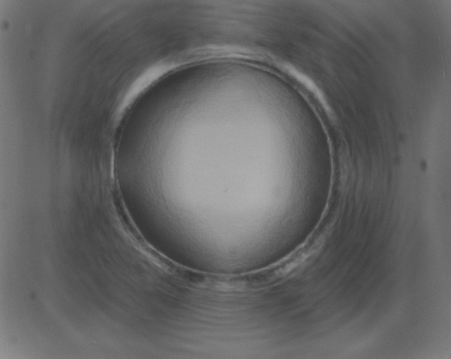 X0000081301365200702012259