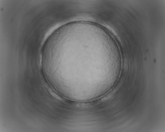 X0000081301366200702012259