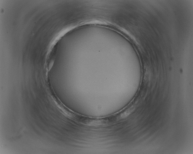 X0000081301367200702012258