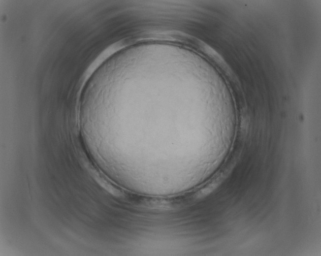 X0000081301370200702012258