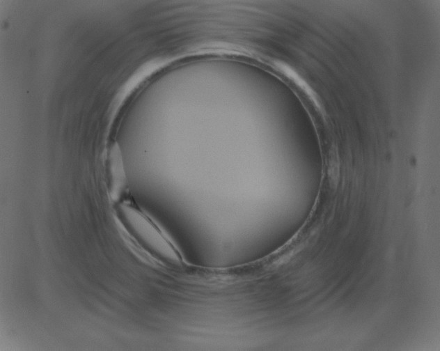 X0000081301372200702012258