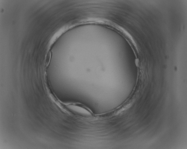 X0000081301373200702012258