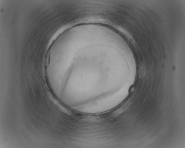 X0000081301374200702012258