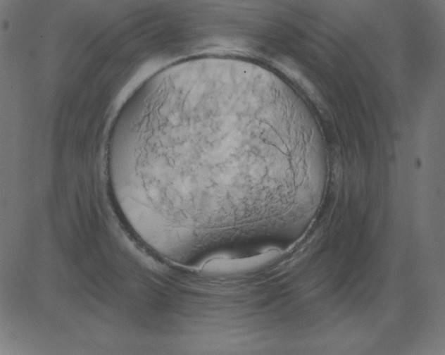 X0000081301375200702012258