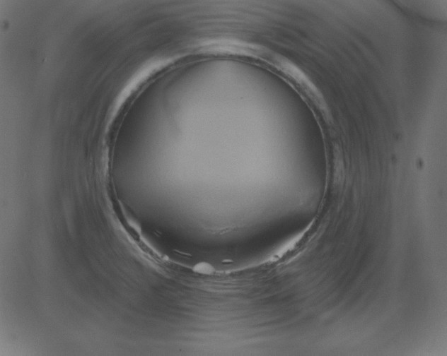 X0000081301376200702012258