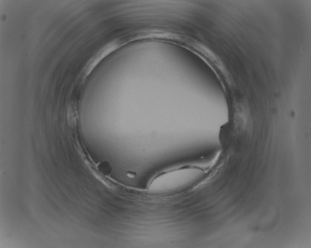 X0000081301377200702012258