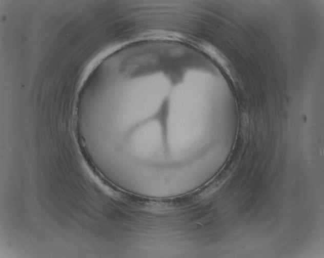 X0000081301379200702012258