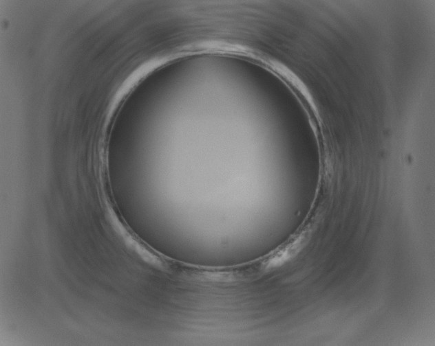 X0000081301381200702012258