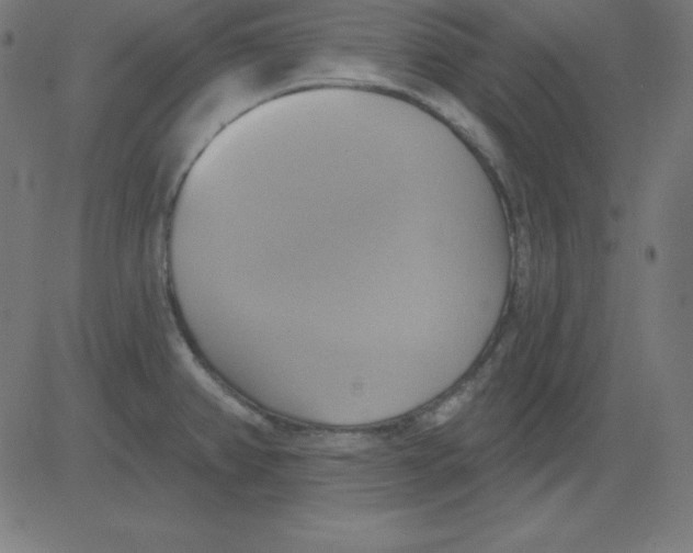 X0000081301382200702012258