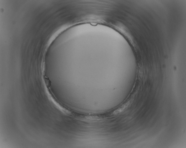 X0000081301383200702012258