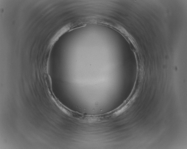 X0000081301385200702012258