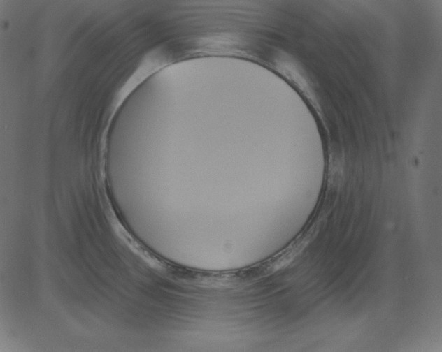 X0000081301386200702012258