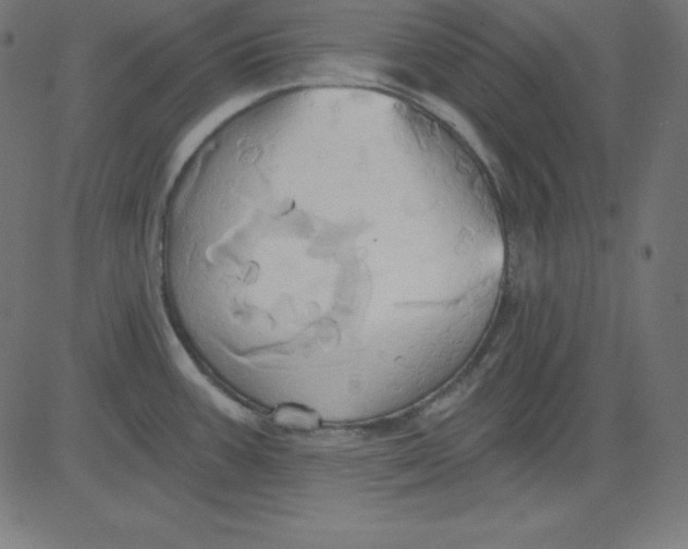 X0000081301387200702012258