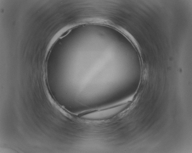 X0000081301389200702012258