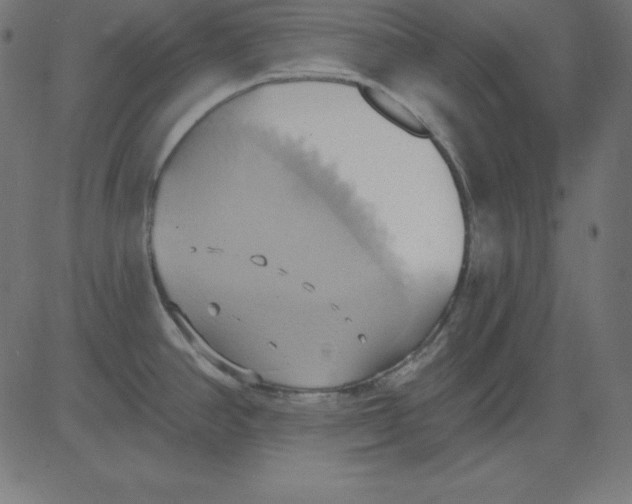 X0000081301390200702012258