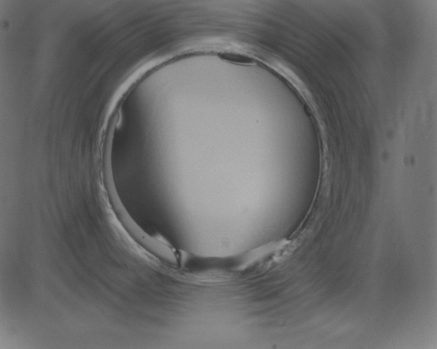 X0000081301392200702012258