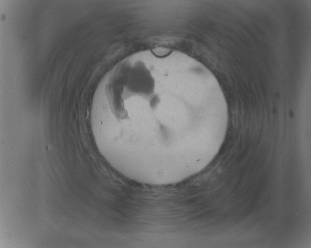 X0000081301393200702012257