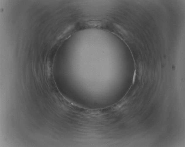 X0000081301394200702012257