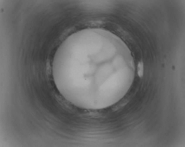 X0000081301395200702012257