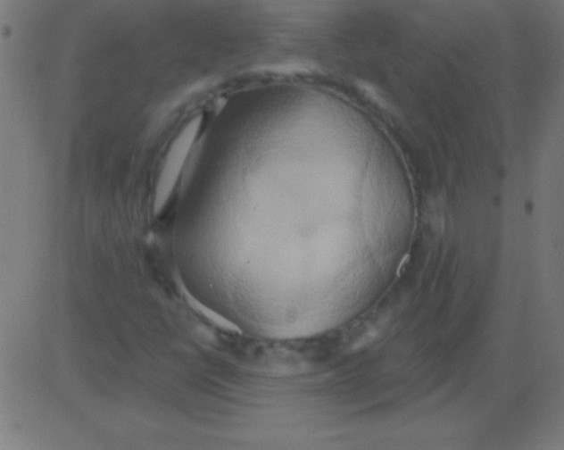 X0000081301398200702012257