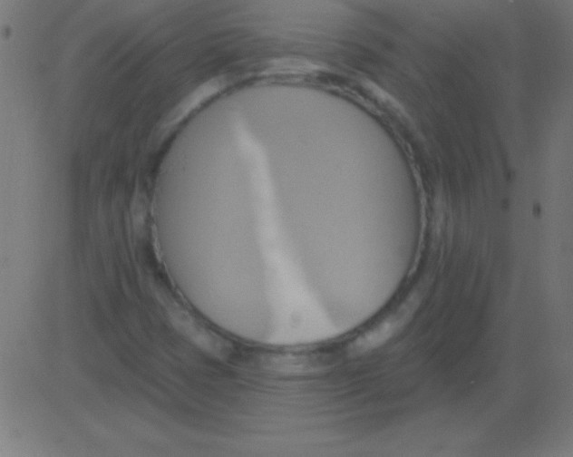 X0000081301401200702012257