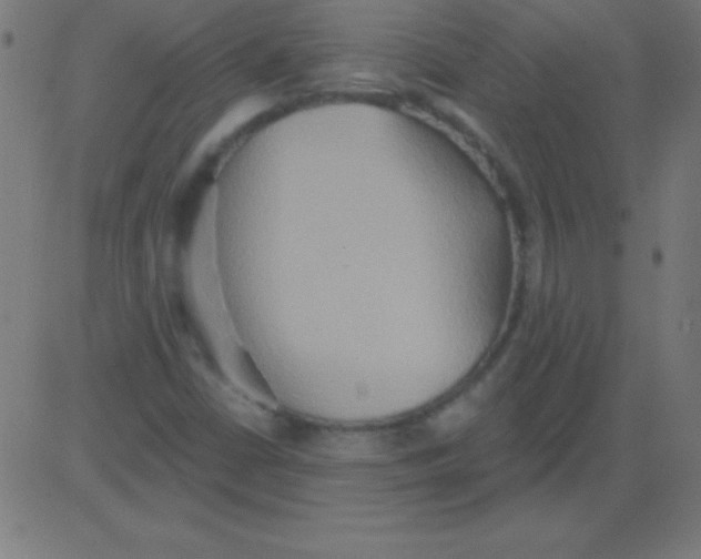 X0000081301402200702012257